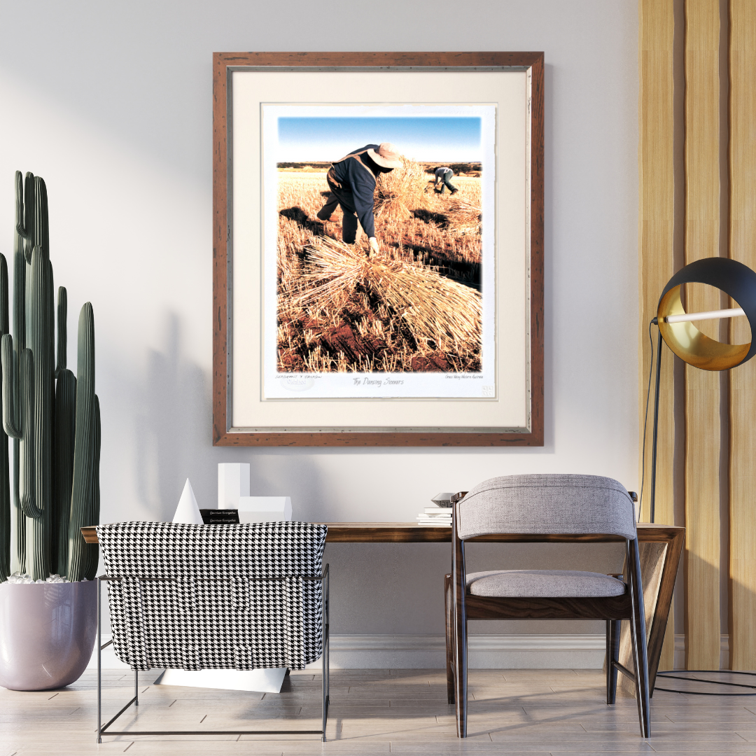 #166 - "The Dancing Stookers" - Grass Valley, Western Australia