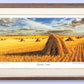 #154 - "Baroota Stooks" - Grass Valley Western Australia