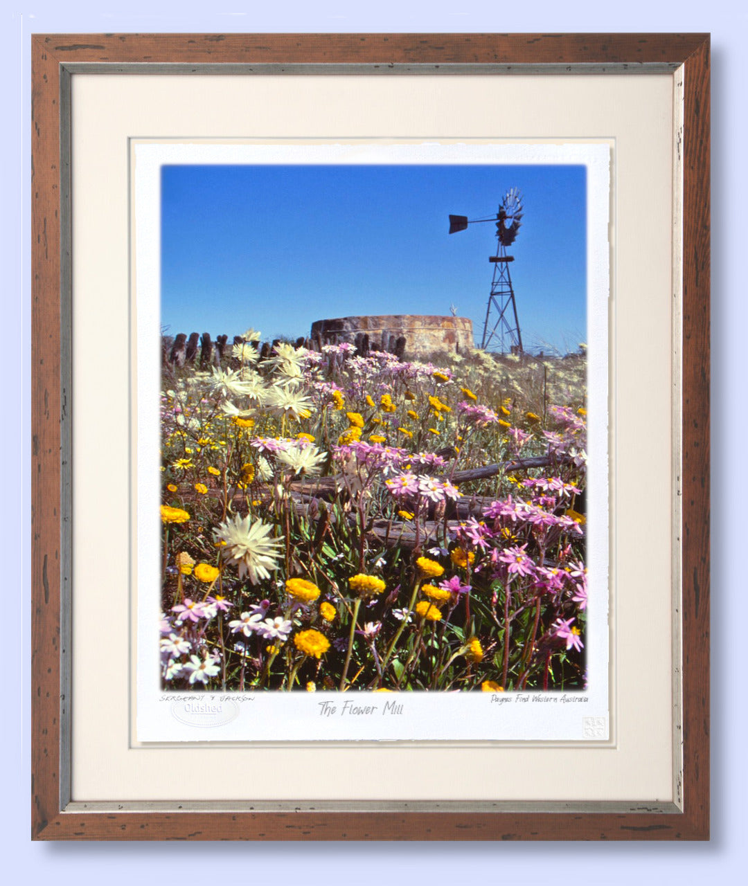 #169 - "The Flower Mill" - Paynes Find, Western Australia