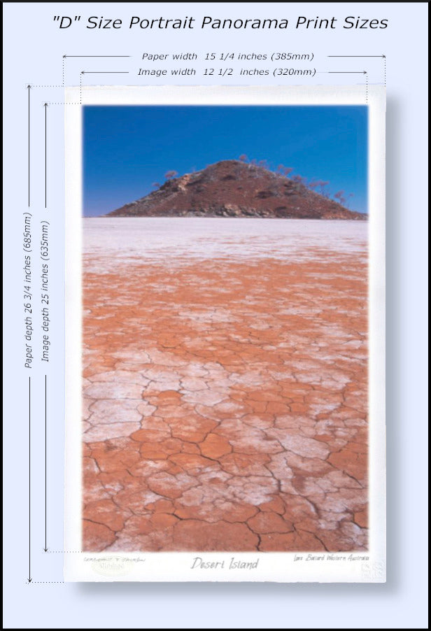 #158 - "Desert Island" - Lake Ballard, Western Australia