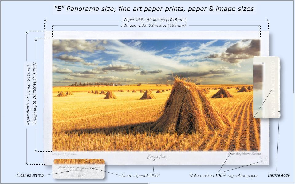 #154 - "Baroota Stooks" - Grass Valley Western Australia